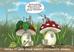 ÐÐ°ÑÑÐ¸Ð½ÐºÐ¸ Ð¿Ð¾ Ð·Ð°Ð¿ÑÐ¾ÑÑ ÐÑÐ¸Ð±Ð½ÑÐµ Ð¿ÑÐ¸ÐºÐ¾Ð»Ñ