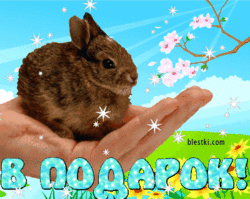 podarok_6.gif