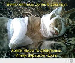ebcf9b85cfce7dd33353391474f87400.jpg