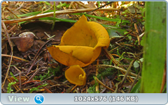 2mv4c6i8.png