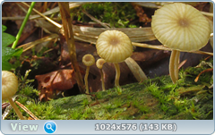 uiy6p83h.png