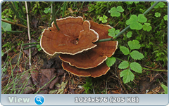 qks6322d.png