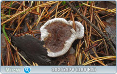 27jy74ml.png