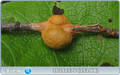 dbl95uxj.png