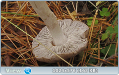 x9nf2l2r.png