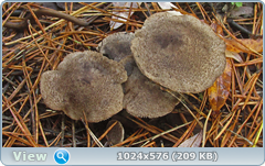 xbgulo6m.png