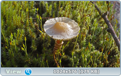 cvzy4f5n.png