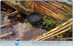 43rmp6by.png