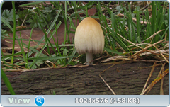 aio5d9i5.png