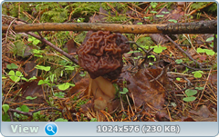 h79qsd4b.png