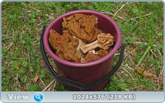 3jjx5goz.png