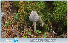 3g9d288m.png