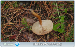 o9wiawbj.png