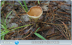 55773cqa.png