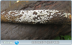 hhpp7xpt.png