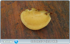 m6of5h4a.png