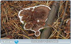 u85dlar3.png