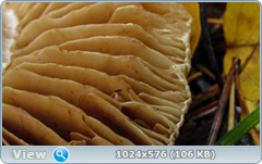 zr4k8y52.png