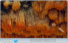 e47sx8t4.png