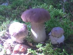Image002.jpg