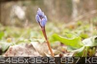 374t5vqm0g3379nat6tx_tn.jpg