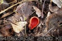 78z6xccy66fc5ejwx65w_tn.jpg