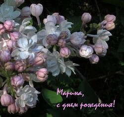 2f6x5122ctnvq78bfb1a.jpg