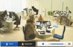 Q3UZW.gif