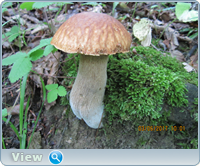 cc7ac3fc0e4ff26a5c21eedb94278c86.png