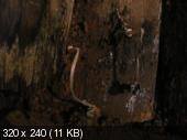 173dd248e1c3493df31ad977ee0bc719.jpeg