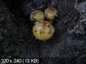 7f1222329e0c822b4deae3cff33a4220.jpeg