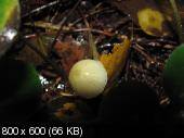 25443b8400870b66d5ba9676677a6d29.jpeg
