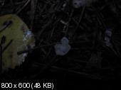375a01ca864f7ed5ac0bd717df88d36d.jpeg