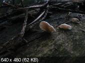 2345bd4518a1f4fae5e3dbdf3843f662.jpeg