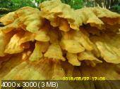 ce1c15d9c4ab090e8b21605e37f66aa8.jpeg