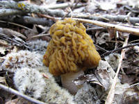 17250115_s.jpg