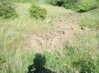 17455293_s.jpg