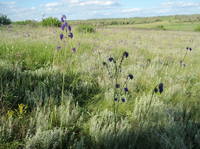 17455354_s.jpg