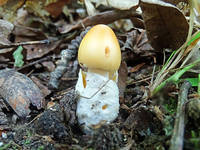 22041803_s.jpg