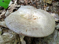 22041869_s.jpg