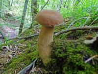 22042043_s.jpg