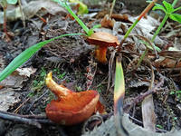 22042279_s.jpg