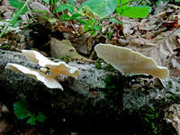22042497_s.jpg