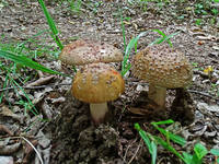 22071305_s.jpg