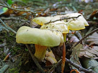 22071303_s.jpg
