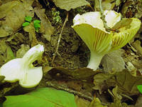 22071525_s.jpg