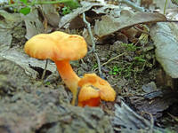 22071527_s.jpg