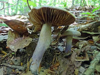 22071647_s.jpg