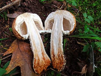 22072001_s.jpg