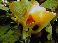 22072051_s.jpg
